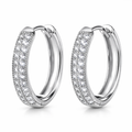 Aretes | Acero Inox Platino | Circonita