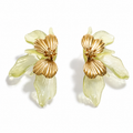 Aretes Grandes Antialérgicos | Resina Acrílica | Acero Inoxidable | Antialérgicos